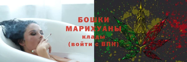 индика Остров