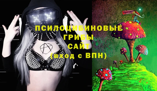 индика Остров